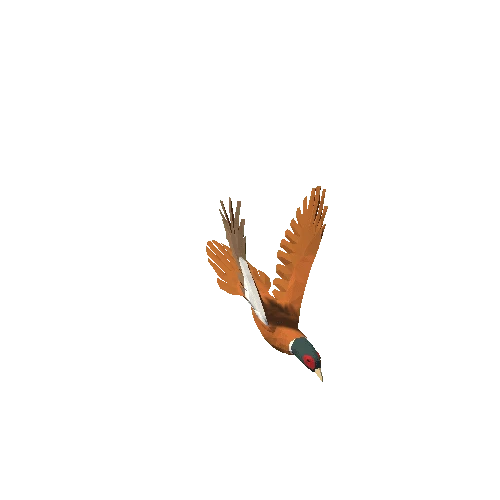 Low Poly Pheasant